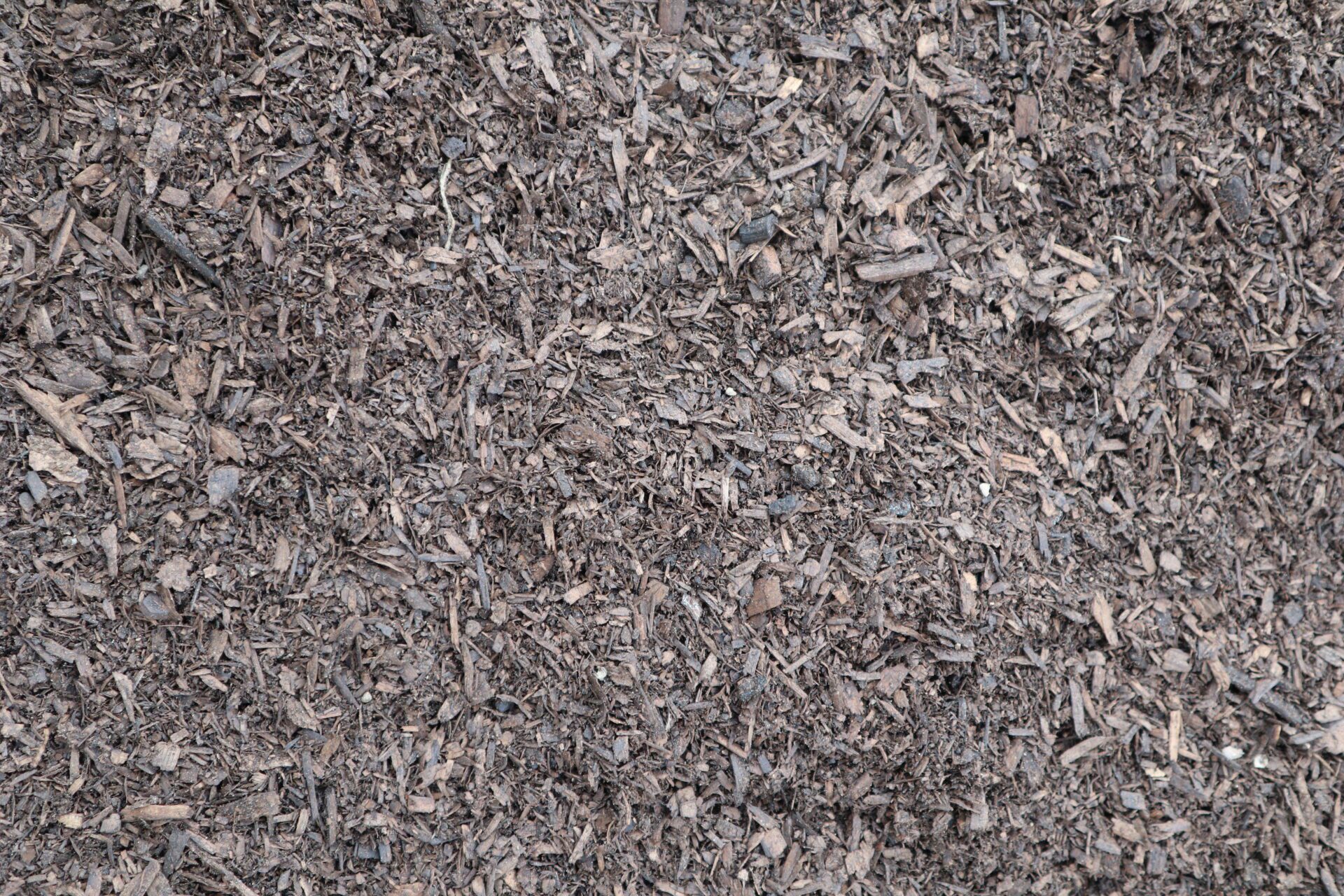 nutrient-enriched-mulch-hamilton Freshly shredded nutrient-enriched mulch made from organic materials, ideal for enhancing garden beds